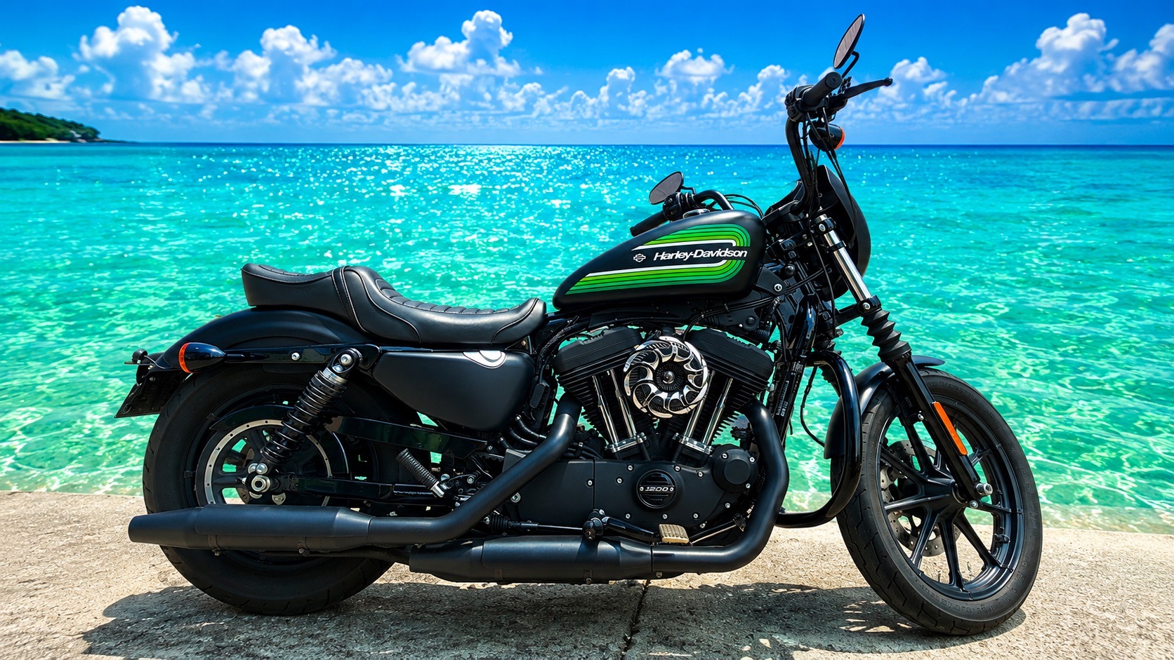 ハーレーダビッドソン Harley-Davidson XL1200NSアイアン木村拓哉モデル