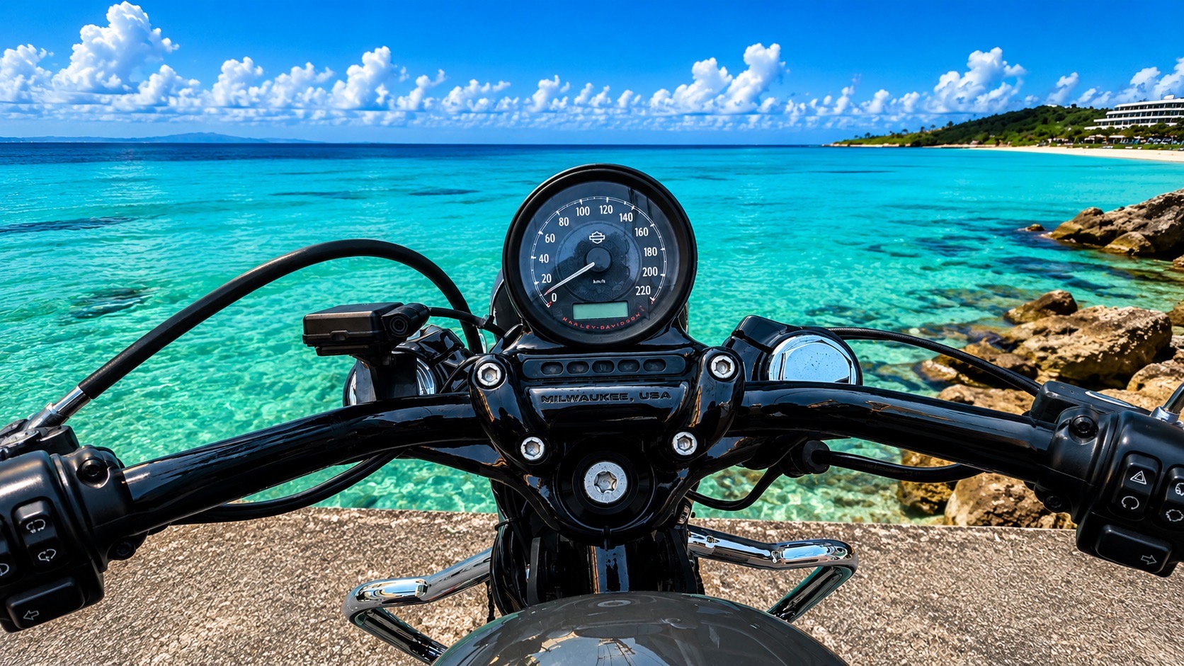 ハーレーダビッドソン Harley-Davidson XL1200X